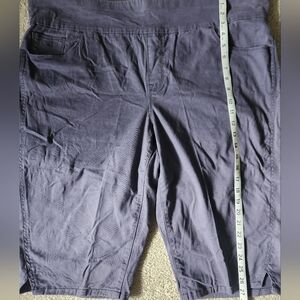 Gloria Vanderbilt Womens Shorts Size 20W